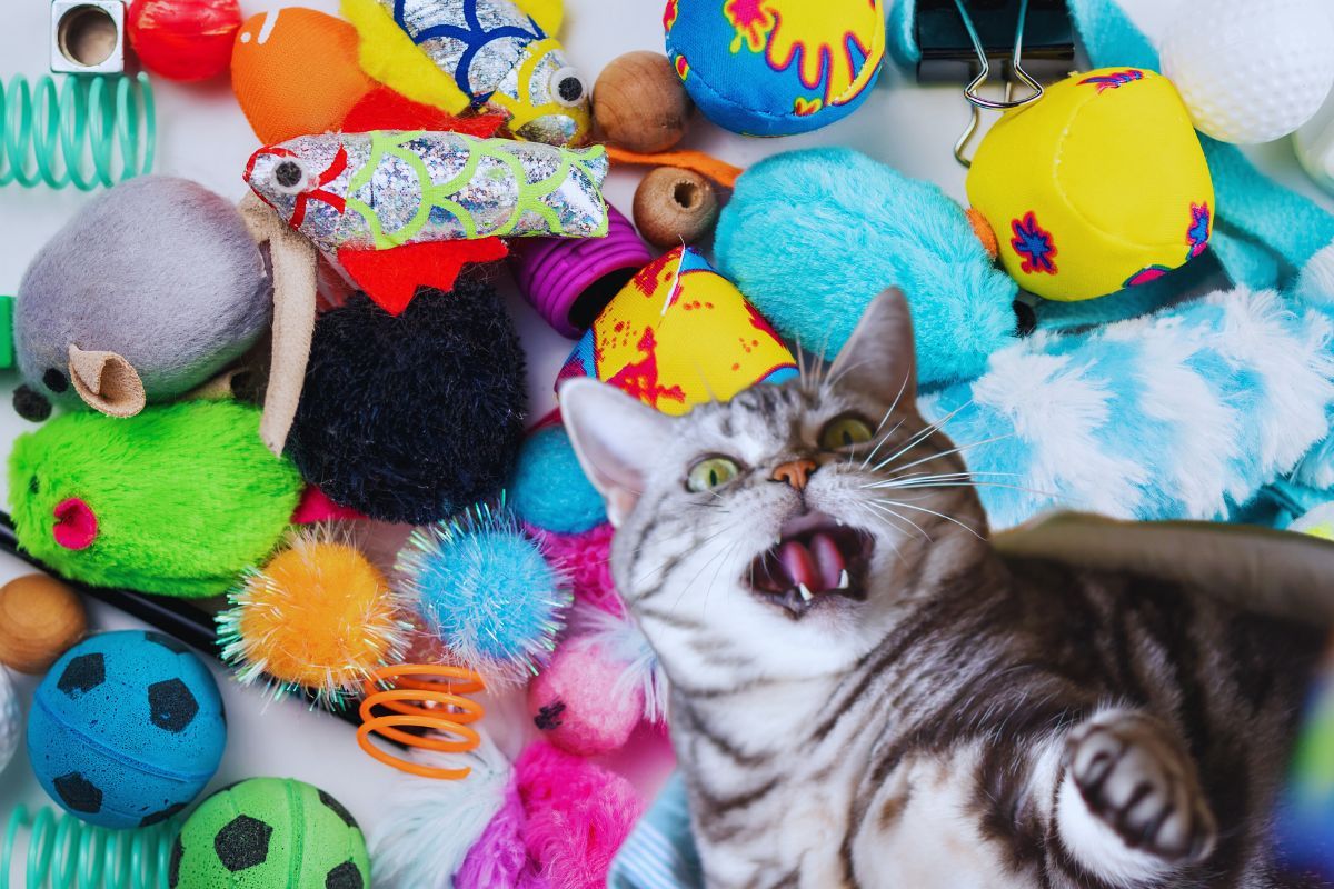 Bonne nouvelle pour les propriétaires de chats ! Découvrez ces 3 jouets DIY géniaux pour votre petit félin, de quoi le garder bien occupé