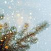 Vous cherchez des idées de déco de Noël ? Pensez à vos branches de sapin pour votre décoration !