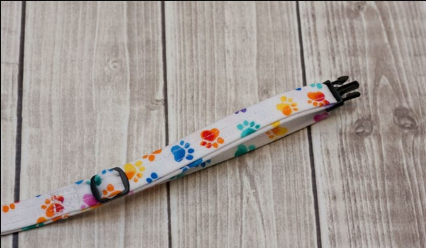 Ajout sangle collier chat diy