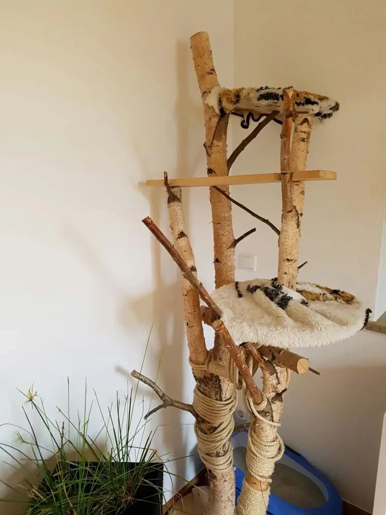 Arbre à chat DIY en bois naturel 