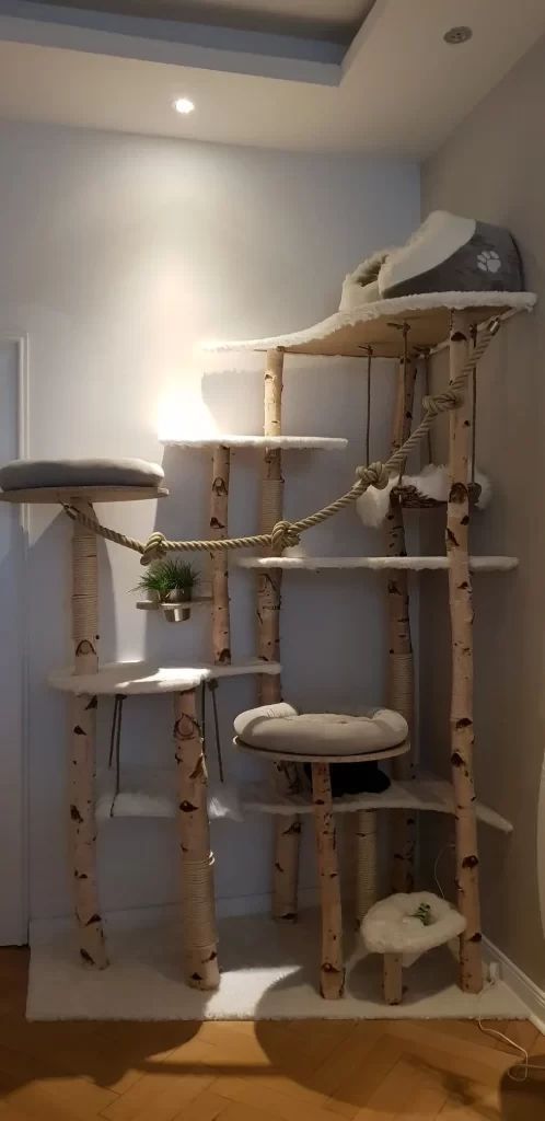 arbre à chat DIY avec plusieurs niveaux