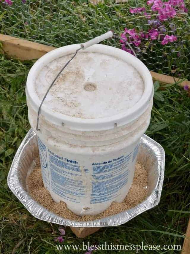 Comment fabriquer un abreuvoir et une mangeoire pour poules avec un seau