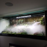 Comment fabriquer votre propre système de brumisation pour terrarium ?