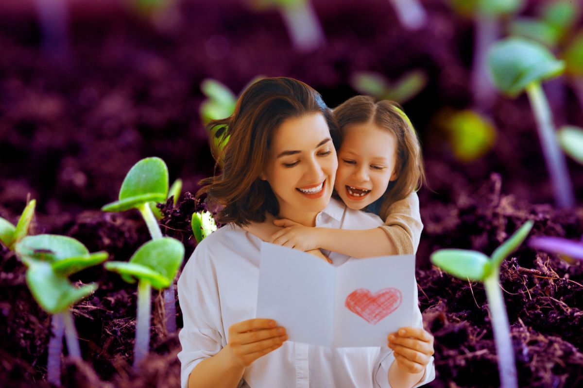 La carte à planter pour la fête des mères : Le cadeau écolo qui fera son effet ! Offrez à votre maman une carte naturelle et réutilisable, qui donnera une jolie plante