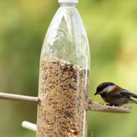 Comment fabriquer une mangeoire pour oiseaux avec une bouteille en plastique en seulement 3 étapes ?