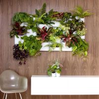 Comment fabriquer son propre mur végétal ?