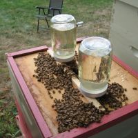 Comment fabriquer de la nourriture pour les abeilles ?