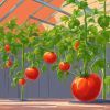 Comment fabriquer un toit pour vos tomates ?