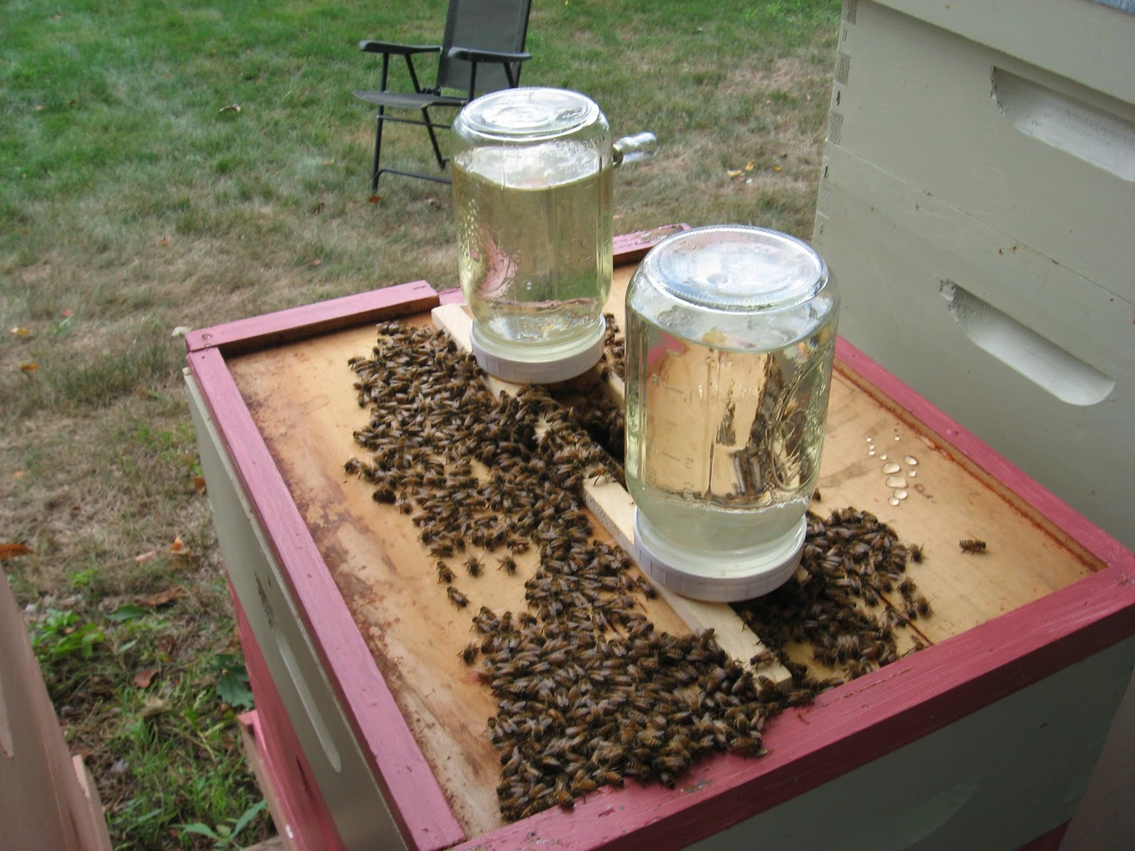 Sirop pour abeille