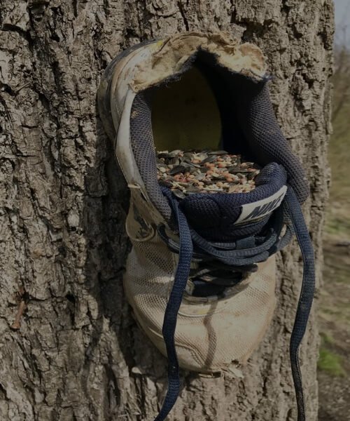 Mangeoire pour oiseaux dans une vieille chaussure suspendu 