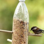 Mangeoire pour oiseaux dans une bouteille en plastique