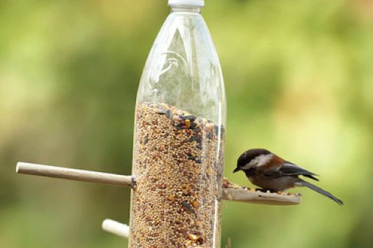 Mangeoire pour oiseaux dans une bouteille en plastique